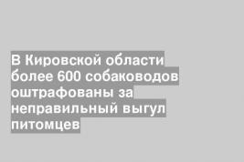 В Кировской области более 600 собаководов оштрафованы за неправильный выгул питомцев