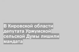 В Кировской области депутата Уржумской сельской Думы лишили мандата