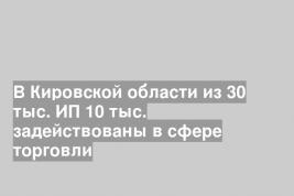 В Кировской области из 30 тыс. ИП 10 тыс. задействованы в сфере торговли