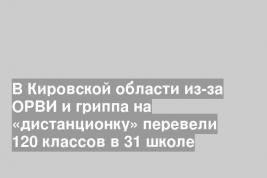 В Кировской области из-за ОРВИ и гриппа на «дистанционку» перевели 120 классов в 31 школе
