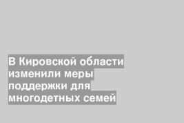 В Кировской области изменили меры поддержки для многодетных семей