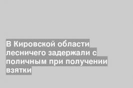 В Кировской области лесничего задержали с поличным при получении взятки