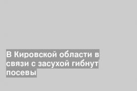 В Кировской области в связи с засухой гибнут посевы