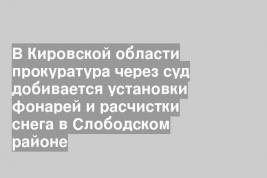 В Кировской области прокуратура через суд добивается установки фонарей и расчистки снега в Слободском районе