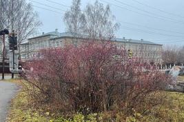 В Кировской области прокуратура потребовала расторгнуть контракт на капремонт школы пос. Безбожник
