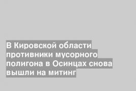 В Кировской области противники мусорного полигона в Осинцах снова вышли на митинг