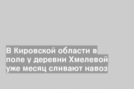 В Кировской области в поле у деревни Хмелевой уже месяц сливают навоз