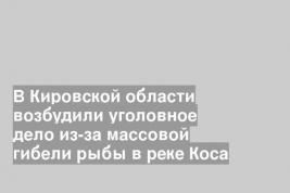 В Кировской области возбудили уголовное дело из-за массовой гибели рыбы в реке Коса