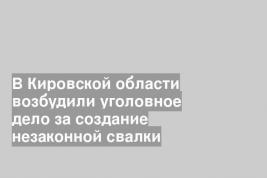 В Кировской области возбудили уголовное дело за создание незаконной свалки