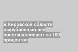 В Кировской области вырубленный лес восстанавливают на 100 процентов