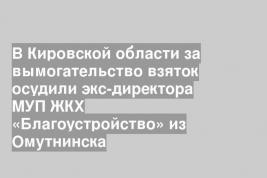 В Кировской области за вымогательство взяток осудили экс-директора МУП ЖКХ «Благоустройство» из Омутнинска