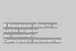 В Кировской области за взятки осудили экс-лесничего Санчурского лесничества