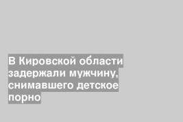 В Кировской области задержали мужчину, снимавшего детское порно