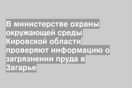 В министерстве охраны окружающей среды Кировской области проверяют информацию о загрязнении пруда в Загарье