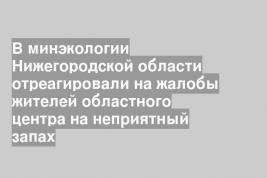 В минэкологии Нижегородской области отреагировали на жалобы жителей областного центра на неприятный запах