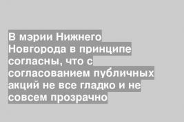 В мэрии Нижнего Новгорода в принципе согласны, что с согласованием публичных акций не все гладко и не совсем прозрачно
