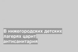 В нижегородских детских лагерях царит антисанитария