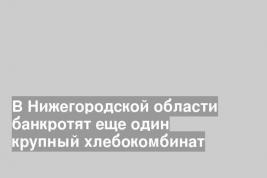 В Нижегородской области банкротят еще один крупный хлебокомбинат