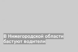 В Нижегородской области бастуют водители
