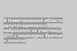 В Нижегородской области депутат-единоросс набросился на участницу ДТП с нецензурно бранью и лопатой