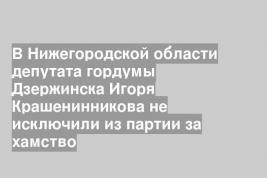 В Нижегородской области депутата гордумы Дзержинска Игоря Крашенинникова не исключили из партии за хамство