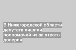 В Нижегородской области депутата лишили полномочий из-за утраты доверия