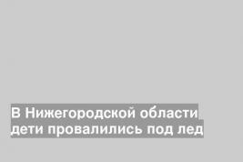 В Нижегородской области дети провалились под лед