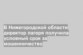 В Нижегородской области директор лагеря получила условный срок за мошенничество