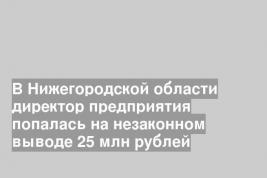 В Нижегородской области директор предприятия попалась на незаконном выводе 25 млн рублей