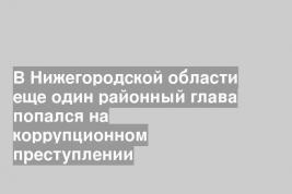 В Нижегородской области еще один районный глава попался на коррупционном преступлении