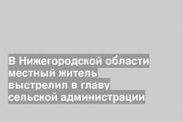 В Нижегородской области местный житель выстрелил в главу сельской администрации