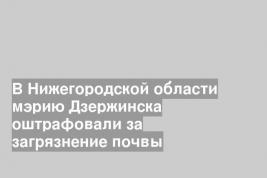 В Нижегородской области мэрию Дзержинска оштрафовали за загрязнение почвы