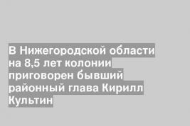 В Нижегородской области на 8,5 лет колонии приговорен бывший районный глава Кирилл Культин