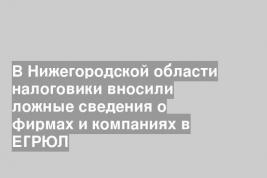 В Нижегородской области налоговики вносили ложные сведения о фирмах и компаниях в ЕГРЮЛ