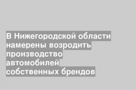 В Нижегородской области намерены возродить производство автомобилей собственных брендов