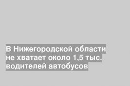 В Нижегородской области не хватает около 1,5 тыс. водителей автобусов