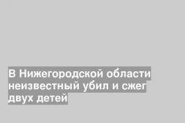 В Нижегородской области неизвестный убил и сжег двух детей
