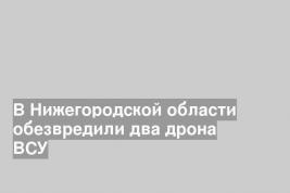 В Нижегородской области обезвредили два дрона ВСУ