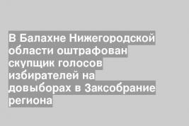 В Балахне Нижегородской области оштрафован скупщик голосов избирателей на довыборах в Заксобрание региона