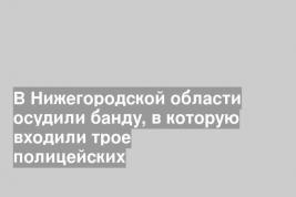 В Нижегородской области осудили банду, в которую входили трое полицейских