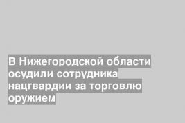 В Нижегородской области осудили сотрудника нацгвардии за торговлю оружием