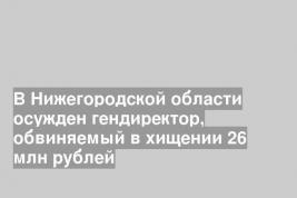 В Нижегородской области осужден гендиректор, обвиняемый в хищении 26 млн рублей