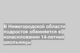В Нижегородской области подросток обвиняется в изнасиловании 14-летней школьницы
