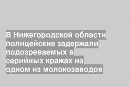 В Нижегородской области полицейские задержали подозреваемых в серийных кражах на одном из молокозаводов