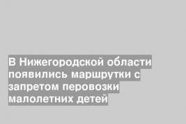 В Нижегородской области появились маршрутки с запретом перовозки малолетних детей