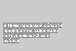 В Нижегородской области предприятие задолжало сотрудникам 5,2 млн рублей