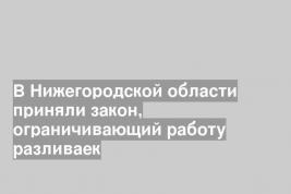 В Нижегородской области приняли закон, ограничивающий работу разливаек