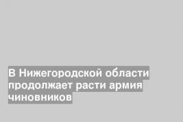 В Нижегородской области продолжает расти армия чиновников