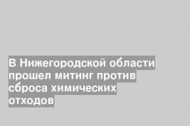 В Нижегородской области прошел митинг против сброса химических отходов