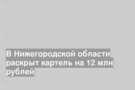 В Нижегородской области раскрыт картель на 12 млн рублей
